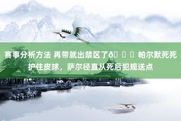 赛事分析方法 再带就出禁区了😂帕尔默死死护住皮球，萨尔径直从死后犯规送点